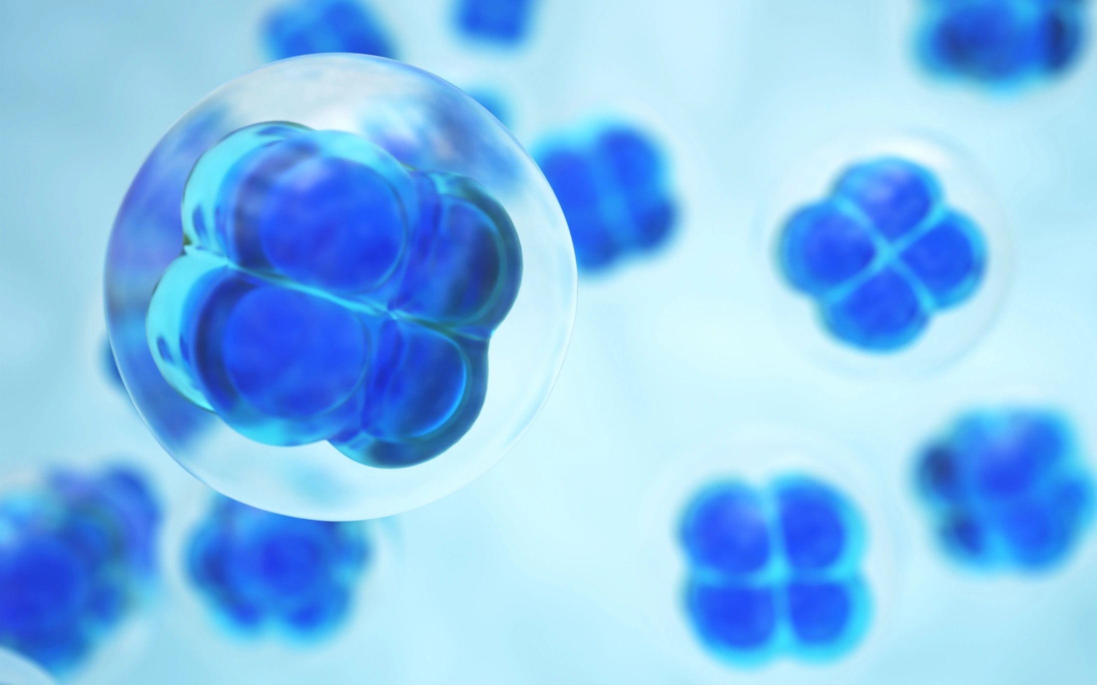 Abstract close-up of human cells