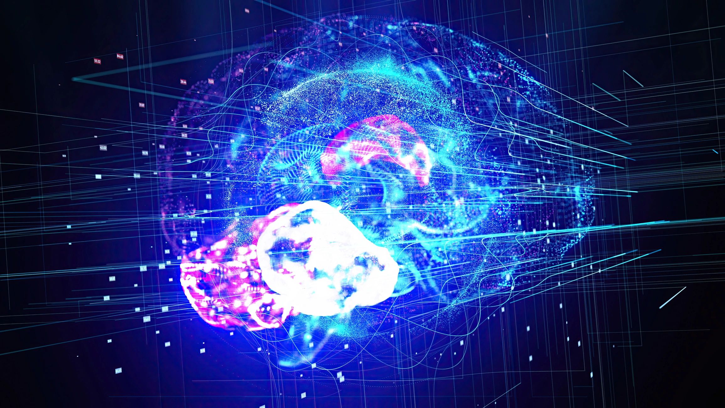 The Human Brain Still Mystifies Scientists
